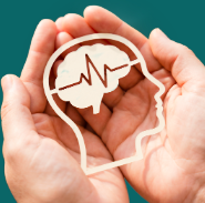 Bannière Journée IPA 